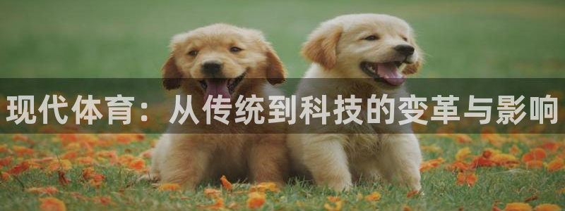 注册凯发官方正版app:现代体育:从传统到科技的变革与影响