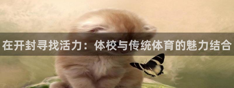 凯发官方正版app娱乐代理怎么样:在开封寻找活力:体校与传统