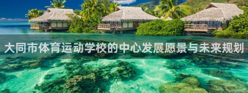 凯发官方平台体育:大同市体育运动学校的中心发展愿景与未来规划