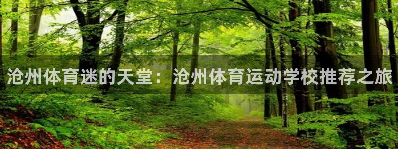 凯发官网下载平台假的吗是真的吗吗:沧州体育迷的天堂:沧州体育