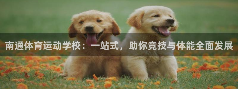 凯发官方正版app新能源:南通体育运动学校:一站式,助你竞技