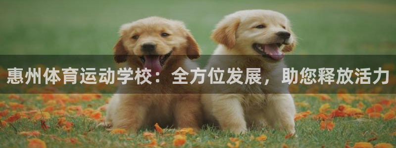 凯发官网下载招商电话地址是多少:惠州体育运动学校:全方位发展